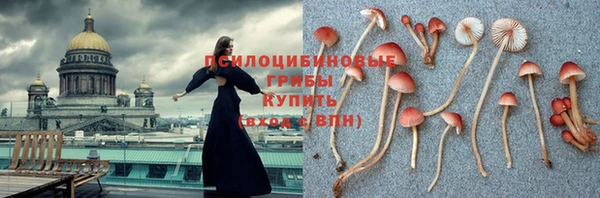 прущие грибы Горнозаводск